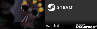 vali-tnt- Steam Signature