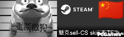 魅克sell-CS skin & TF2keys Steam Signature