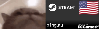 p1ngutu Steam Signature