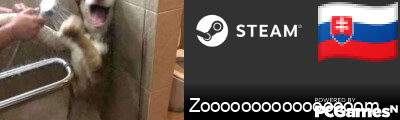 Zoooooooooooooooom Steam Signature