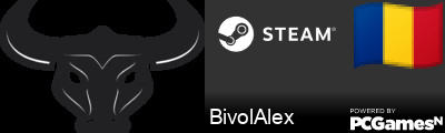 BivolAlex Steam Signature