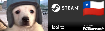 Hoolito Steam Signature
