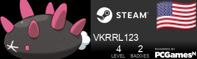 VKRRL123 Steam Signature
