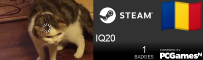 IQ20 Steam Signature