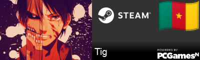 Tig Steam Signature