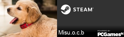 Misu.o.c.b Steam Signature