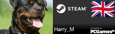Harry_M Steam Signature