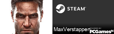 MaxVerstappen Steam Signature
