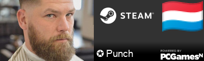 ✪ Punch Steam Signature