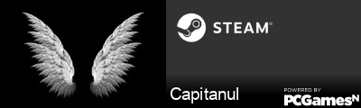 Capitanul Steam Signature