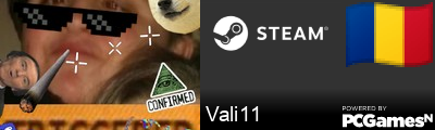 Vali11 Steam Signature