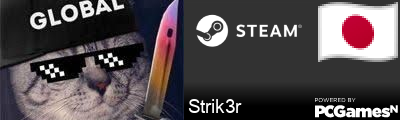 Strik3r Steam Signature