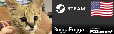SoggaPogga Steam Signature