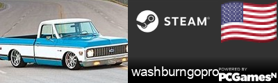 washburngopro Steam Signature