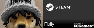 Fiully Steam Signature