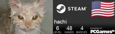 hachi Steam Signature