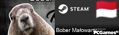 Bober Małowany Steam Signature