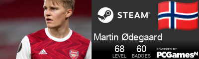 Martin Ødegaard Steam Signature