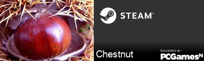 Chestnut Steam Signature