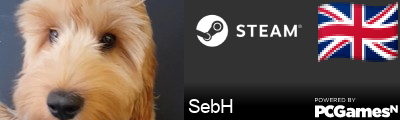 SebH Steam Signature