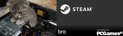 bro Steam Signature