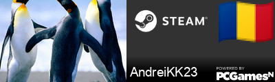 AndreiKK23 Steam Signature
