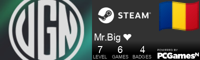 Mr.Big ❤ Steam Signature