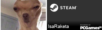 IsaRaketa Steam Signature