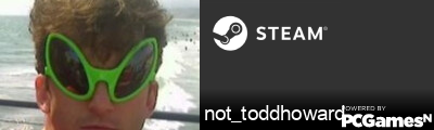 not_toddhoward Steam Signature