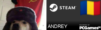 ANDREY Steam Signature