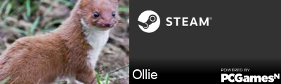 Ollie Steam Signature