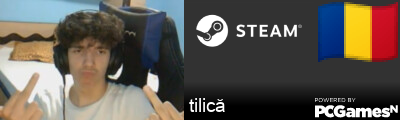 tilică Steam Signature