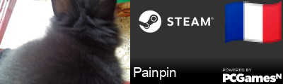 Painpin Steam Signature