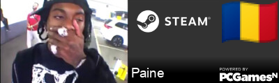 Paine Steam Signature