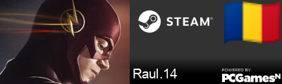 Raul.14 Steam Signature
