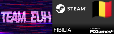 FIBILIA Steam Signature