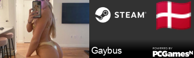 Gaybus Steam Signature