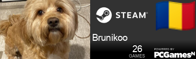 Brunikoo Steam Signature