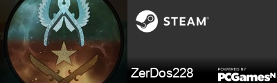 ZerDos228 Steam Signature