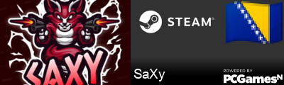 SaXy Steam Signature