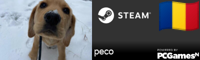 peco Steam Signature
