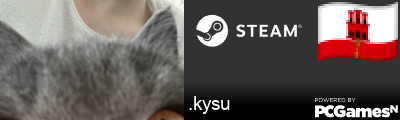 .kysu Steam Signature