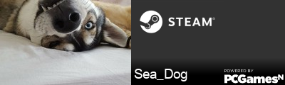 Sea_Dog Steam Signature