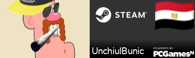 UnchiulBunic Steam Signature