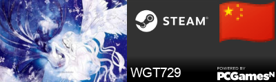 WGT729 Steam Signature