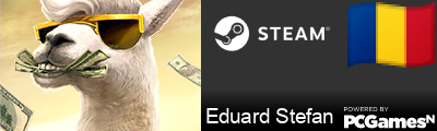 Eduard Stefan Steam Signature