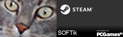 SOFTik Steam Signature