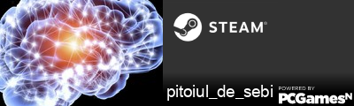 pitoiul_de_sebi Steam Signature