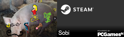 Sobi Steam Signature