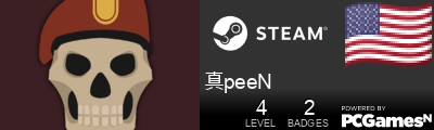 真peeN Steam Signature